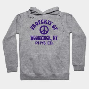 WOODSTOCK NY - Groovy tie dye Hoodie